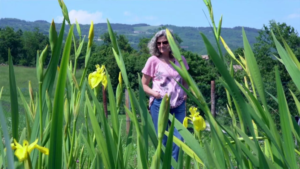 Bed & Breakfast Sacreterre B&B E Agriturismo Tizzano Val Parma
